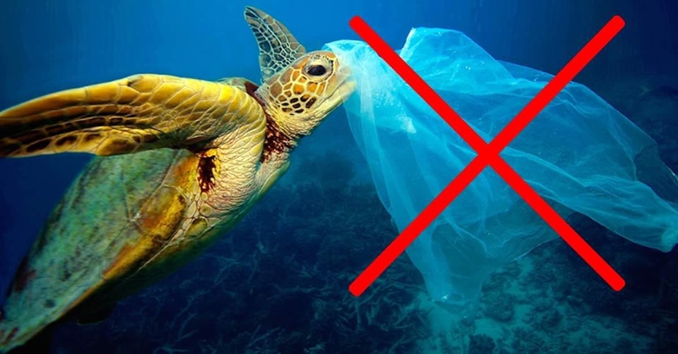 I danni della plastica in mare